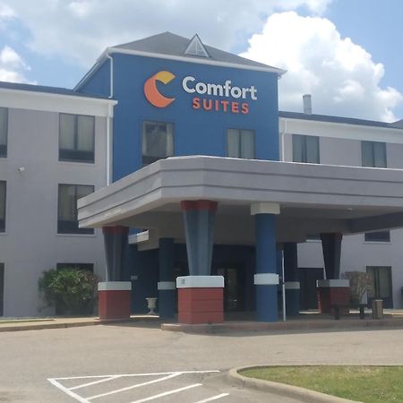 Comfort Suites Airport South Montgomery Buitenkant foto